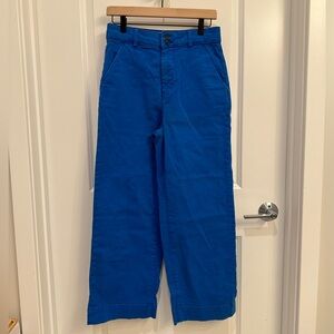 EVERLANE The Utility Wide-Leg Pant Size 6 Klein Blue